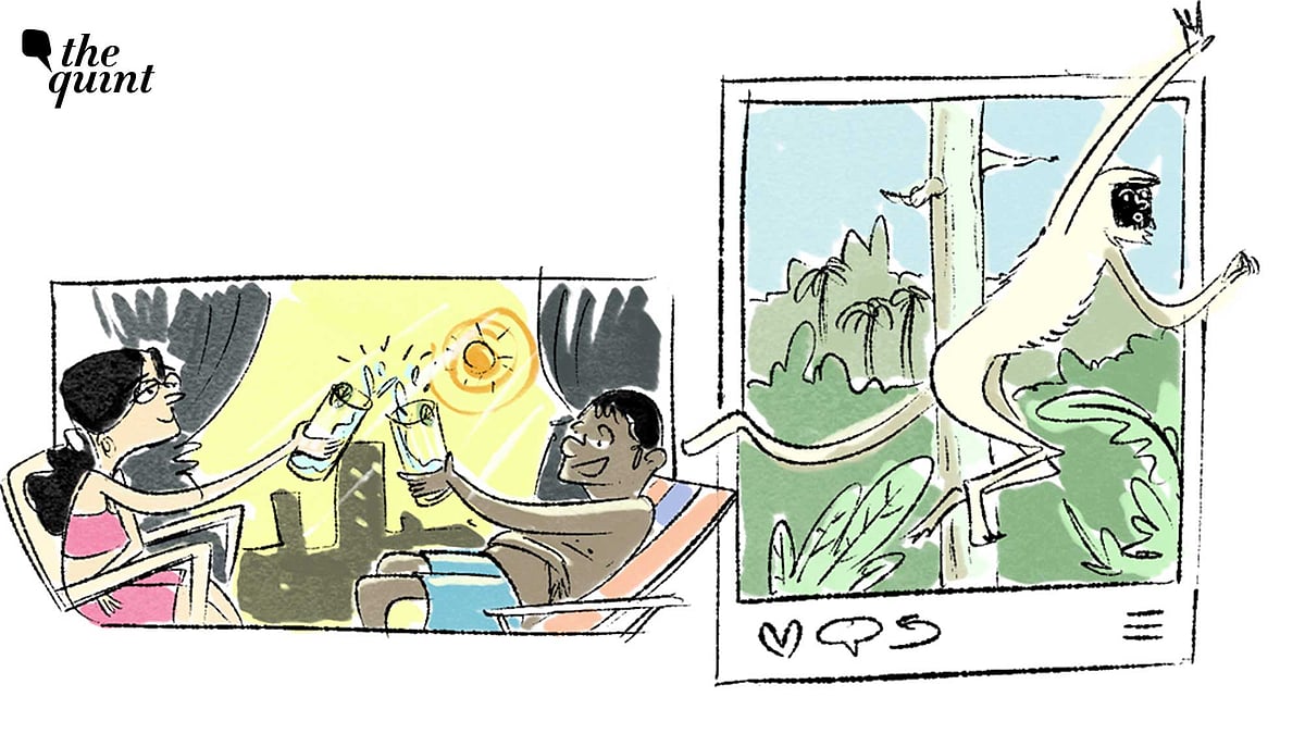 <div class="paragraphs"><p>Beyond heatwaves and floods, the deeper story of the climate crisis is unfolding into the everyday. The planet is slipping further into distress, but you won't know until you look closely!</p></div>