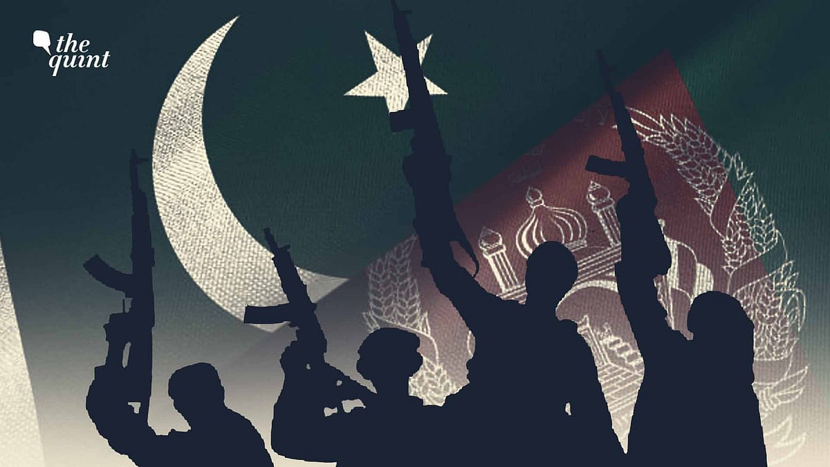 <div class="paragraphs"><p>According to the Uited Nations Assistance Mission (UNAMA), 17 Afghans were killed and 346 were injured in Spin Boldok in Kandahar.</p></div>