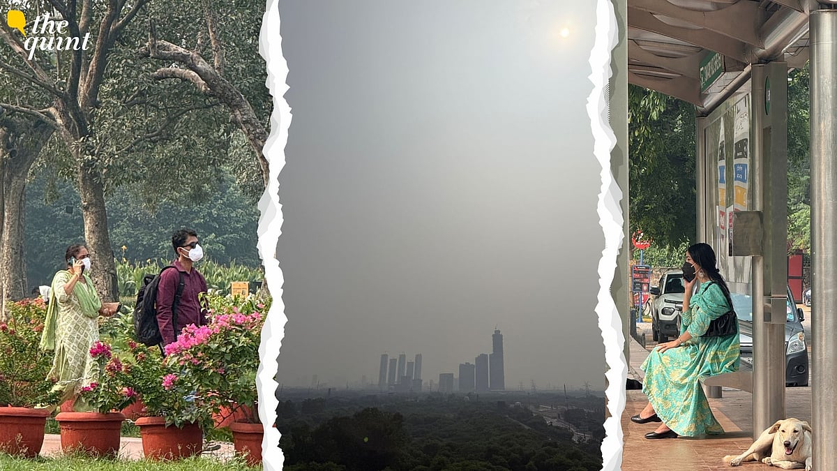 <div class="paragraphs"><p>The AQI in several parts of the city crossed 350 on Diwali night, and remained high on Tuesday morning.</p></div>