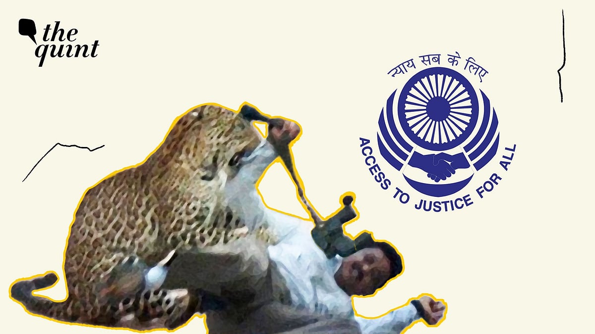 <div class="paragraphs"><p>NALSA's 'Scheme on Access to Justice for Victims of Human-Wildlife Conflict, 2025' initiative can potentially force a rethink of our current approach to conservation of wildlife and wild lands.</p></div>