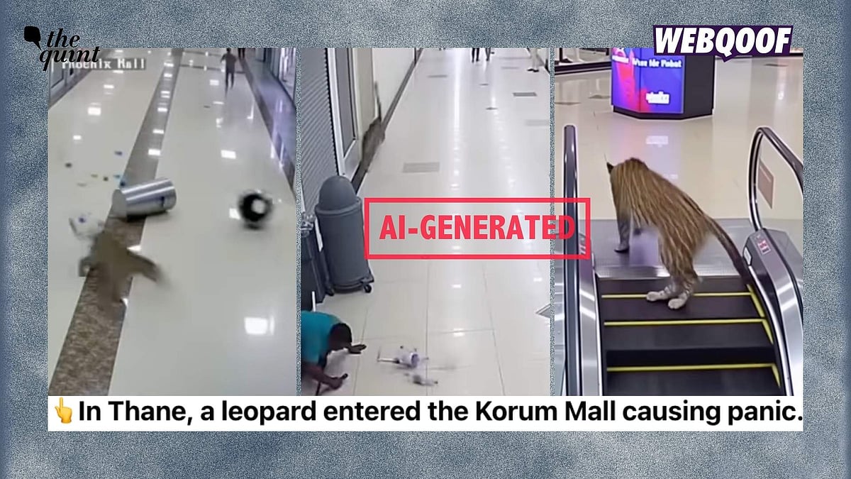 <div class="paragraphs"><p>An AI-generated video of a leopard running inside a shopping mall has gone viral on social media, where users believed it to be a real video of such an incident.</p></div>