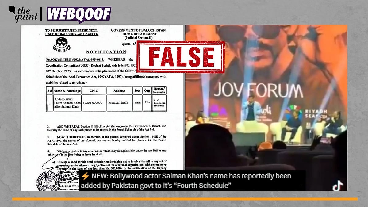 <div class="paragraphs"><p>Fact-Check | The claim about Pakistan declaring Salman Khan a "terrorist" is false.</p></div>