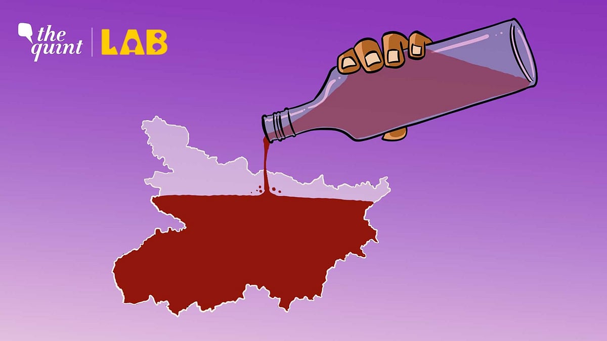 <div class="paragraphs"><p>Looking at the data around Bihar's prohibition ahead of the 2025 Bihar Assembly elections.</p></div>