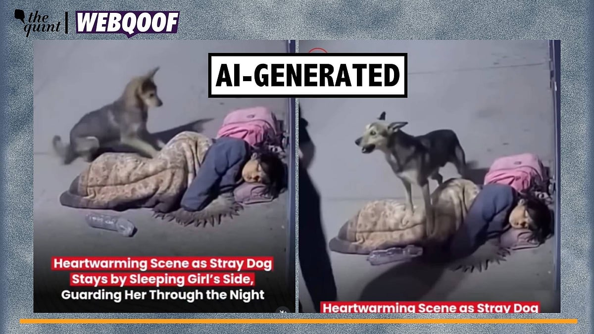 <div class="paragraphs"><p>Fact-Check | The video has been generated using the help of AI tools.</p></div>