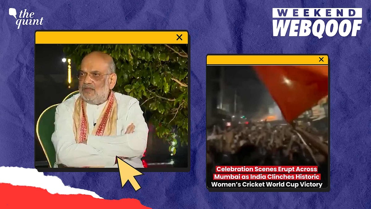 <div class="paragraphs"><p>WebQoof Recap | Read our recap to find out our top fact-check stories from this week.</p></div>