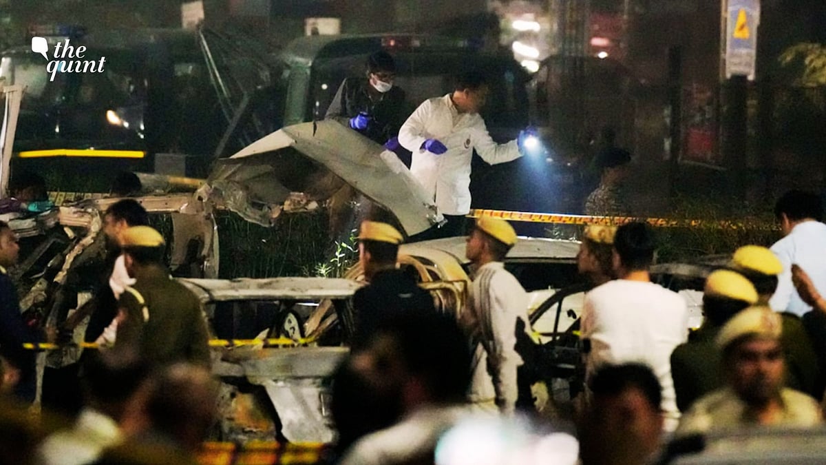 <div class="paragraphs"><p>A car blast near Delhi's Red Fort killed at least eight people on 10 November. </p></div>