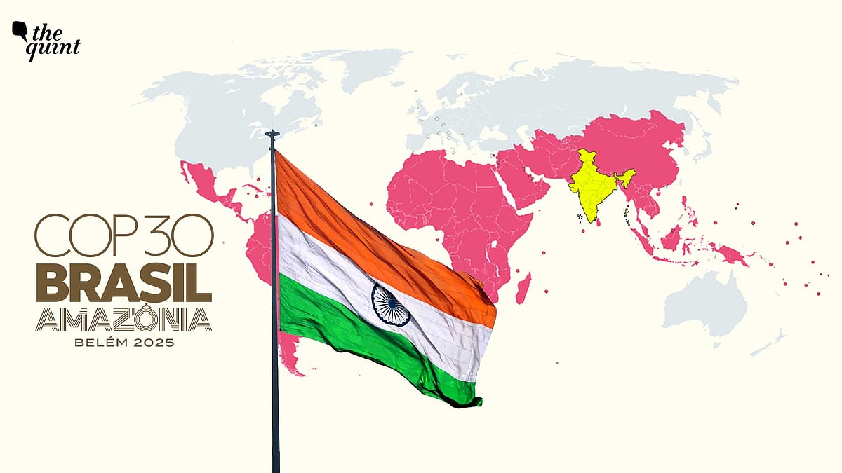 <div class="paragraphs"><p>Climate finance will be a central focus at this year’s COP, and the rollout of Article 6.4 of the Paris Agreement, known as the Paris Agreement Crediting Mechanism, presents a rare chance to make <a href="https://www.thequint.com/climate-change/india-to-build-its-own-carbon-credit-market-alter-bylaws-for-energy-efficiency">global carbon markets</a> more inclusive and responsive to people’s needs.</p></div>