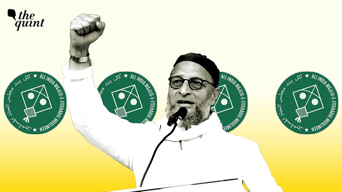 <div class="paragraphs"><p>सीमांचल में ओवैसी को फायदा</p></div>