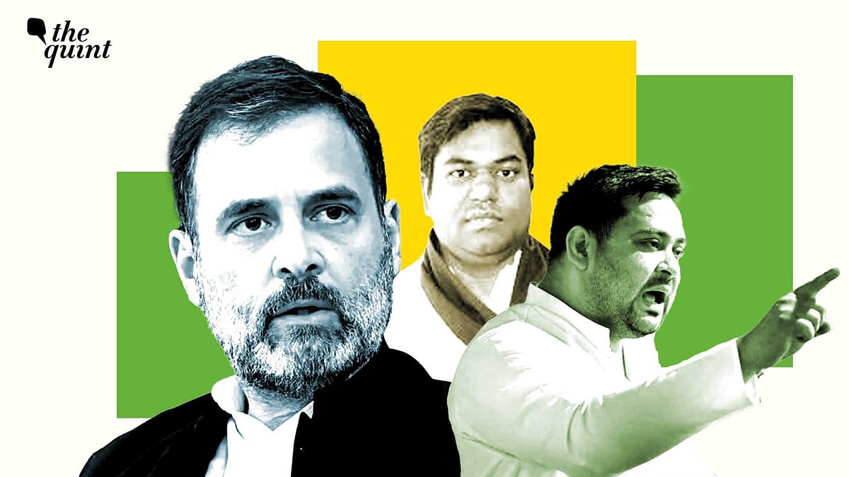 <div class="paragraphs"><p>महागठबंधन की हार कैसे हुई?</p></div>