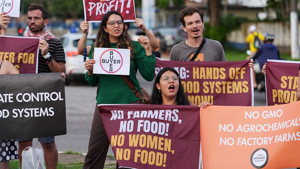 <div class="paragraphs"><p>Week one of COP30 was marked by protests, with demonstrations expected to continue into the second week.</p></div>