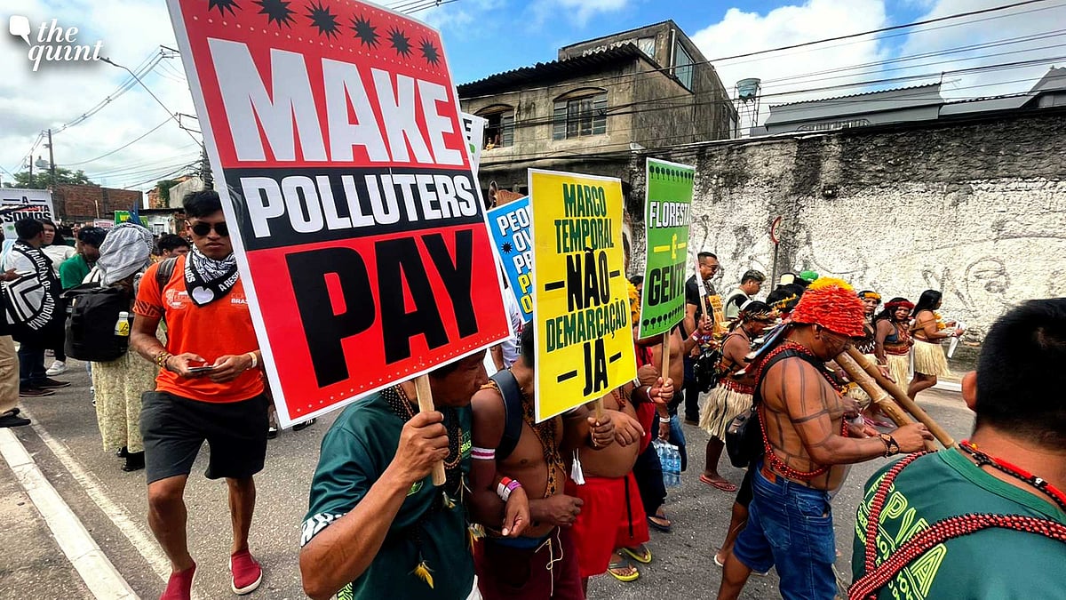 <div class="paragraphs"><p>The summit saw Indigenous protests on an unprecedented scale, but the final negotiations were once again dominated by fossil fuel interests and delaying tactics.</p></div>