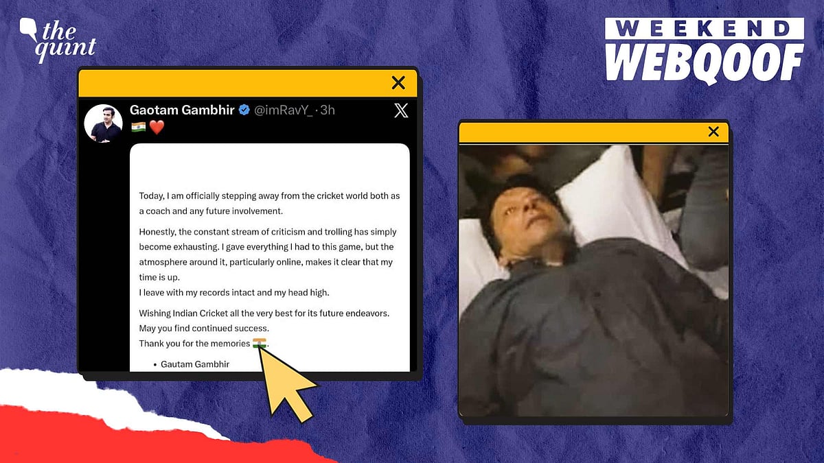 <div class="paragraphs"><p>WebQoof Recap: Here are the viral pieces of fake news that went viral this week!</p></div>