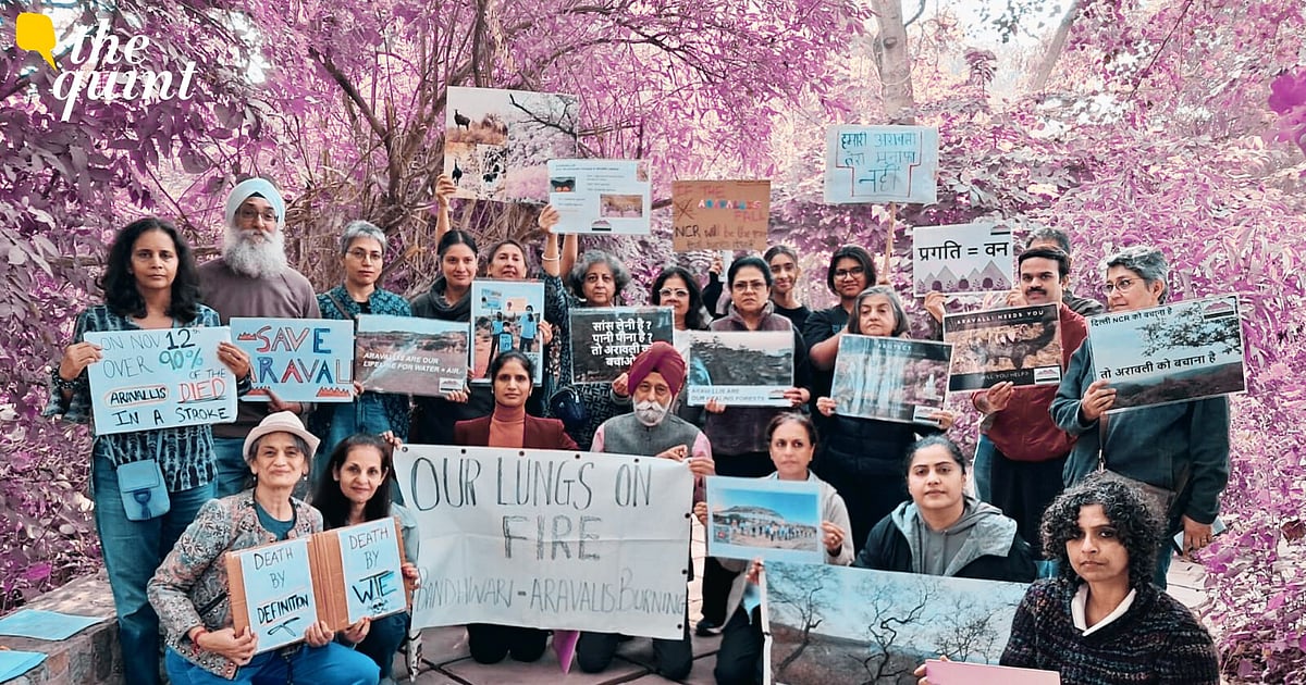 ‘Death by Definition’: Why Climate Activists Are Protesting SC’s Aravalli Ruling