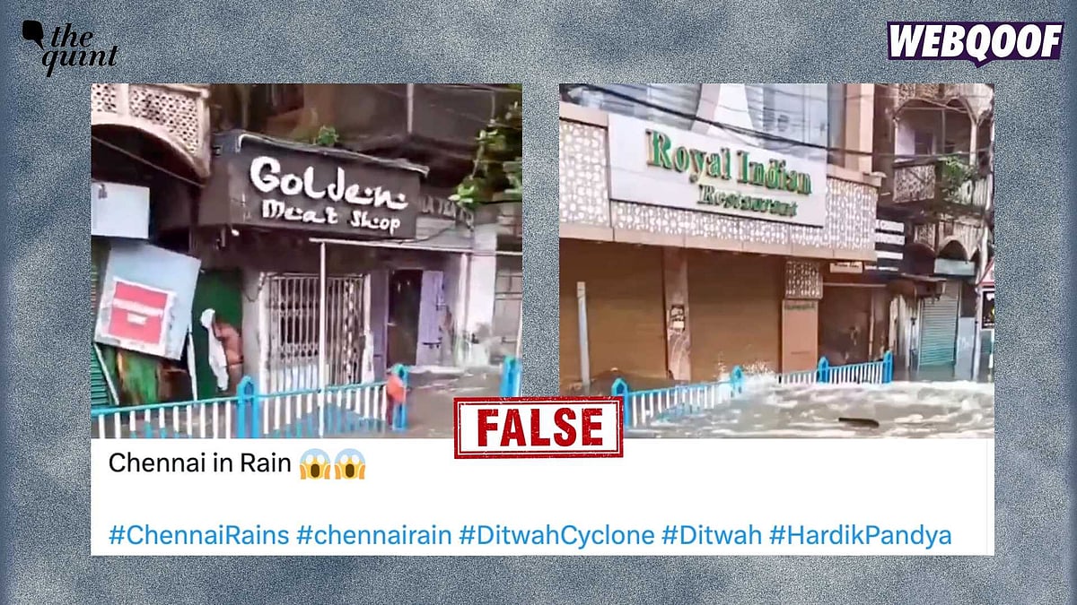 <div class="paragraphs"><p>The post claims that the clip shows Chennai after Cyclone Ditwah.</p></div>