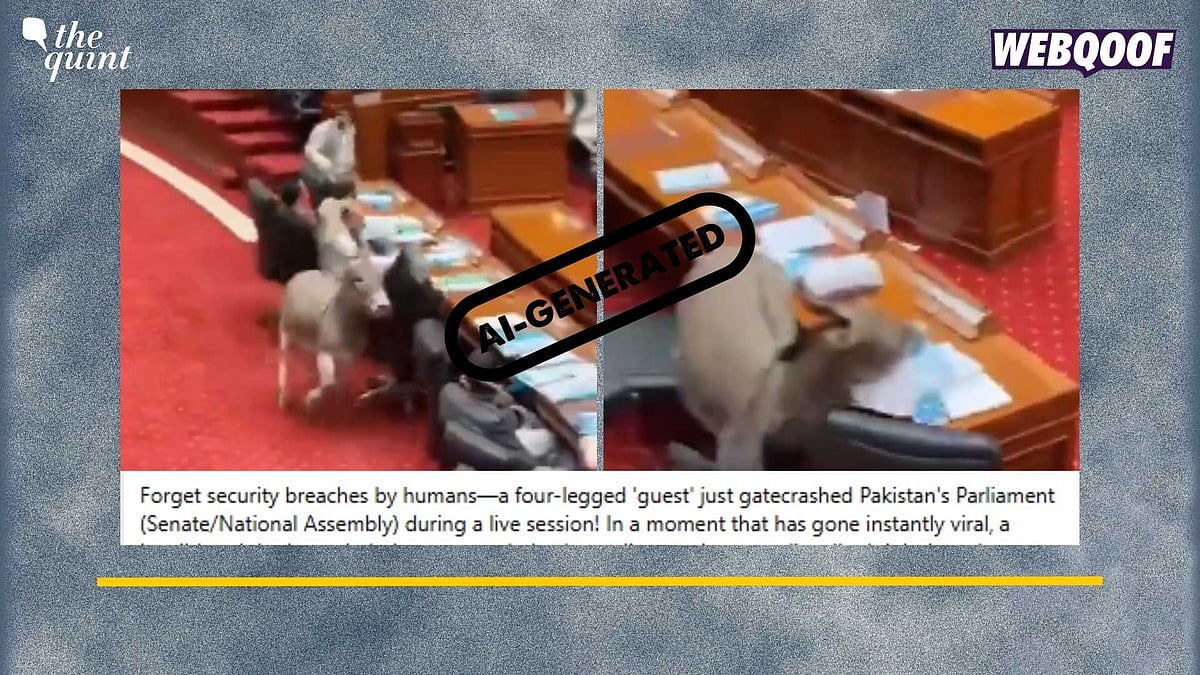 <div class="paragraphs"><p>Fact-Check: This video is created using AI and is not real.</p></div>