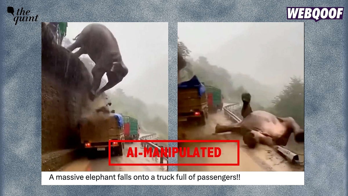 <div class="paragraphs"><p>The viral post claims that an elephant fell onto a truck.</p></div>