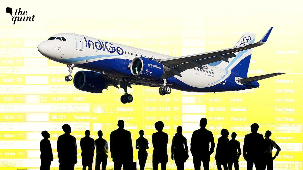 <div class="paragraphs"><p>The scenes at airports, families stranded overnight, elderly passengers without assistance, contradictory announcements, missing baggage, and indifference at help desks were moments of forced immobility and public loss of agency.</p></div>