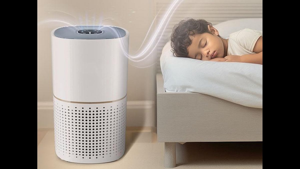 <div class="paragraphs"><p>Simple air purification practices for cleaner indoor air</p><p></p></div>