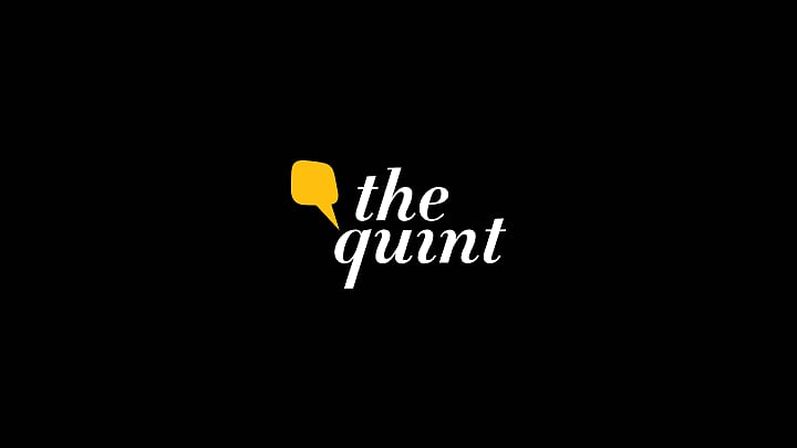 <div class="paragraphs"><p>The Quint.</p></div>