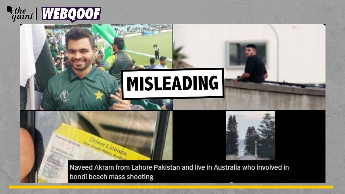 <div class="paragraphs"><p>Fact-Check | The man dressed in the Pakistani jersey is being misidentified as the alleged shooter in the Bondi beach terror attack.</p></div>