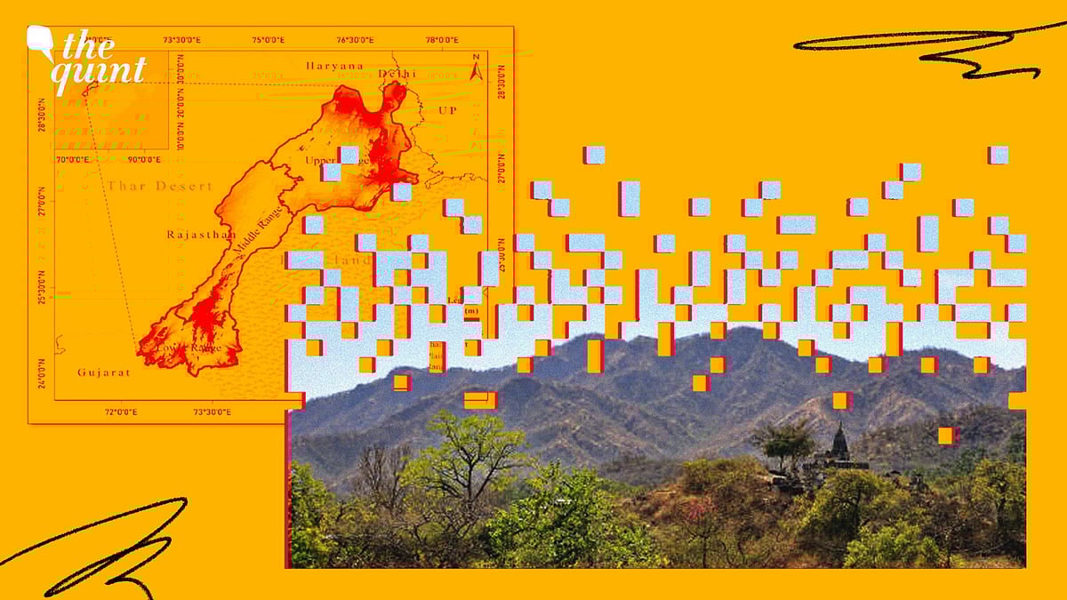 <div class="paragraphs"><p>Why protecting the Aravalli is crucial, explained by a scientist.</p></div>