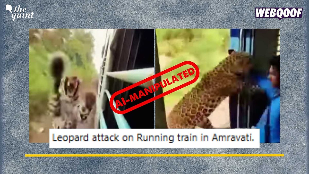 <div class="paragraphs"><p>Fact-Check: This video does not show a real incident. It is AI-manipulated.</p></div>