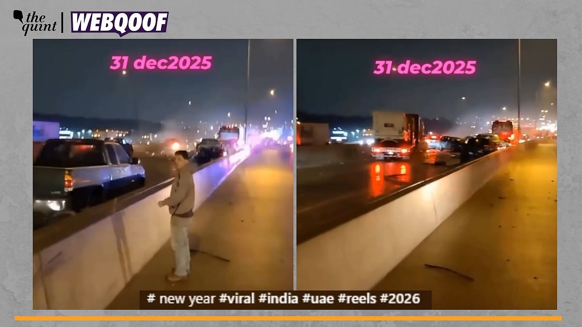 <div class="paragraphs"><p>Fact-Check | The video is old and is being incorrectly shared as a recent incident.</p></div>