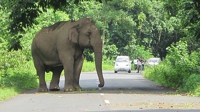 <div class="paragraphs"><p>Image for representational purposes only.</p></div>