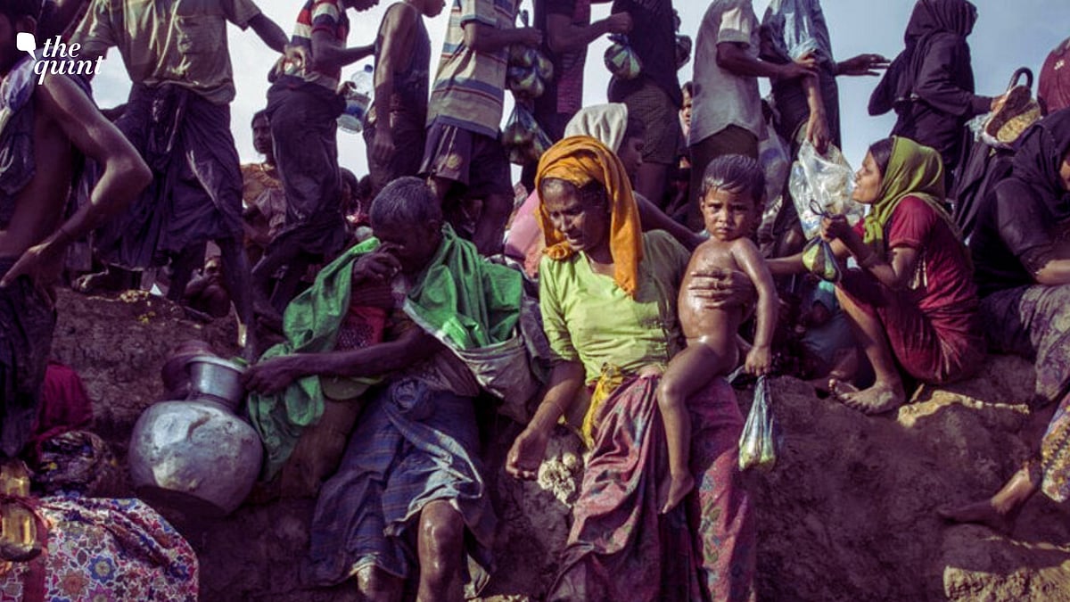 <div class="paragraphs"><p>Rohingyas Called 'Muslim Dogs': ICJ Hears Case on Rohingyas in Myanmar</p></div>