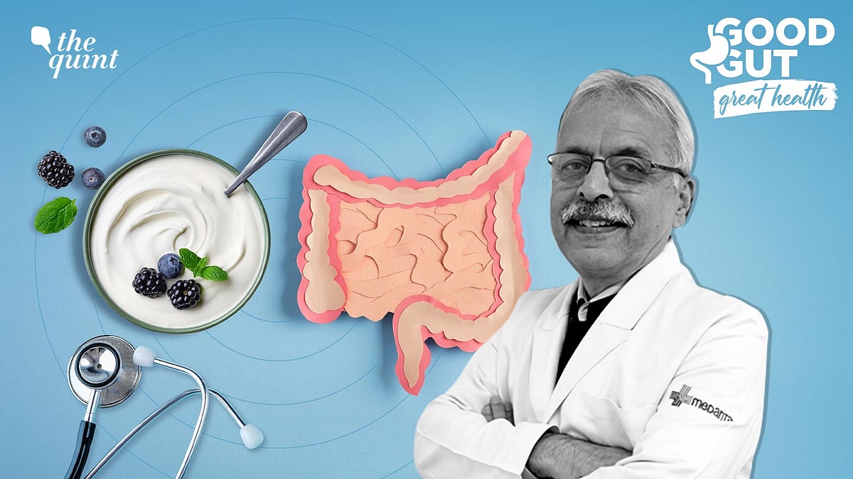 <div class="paragraphs"><p>The gut microbiome influences everything from digestion and metabolism to immunity and even mental well-being, writes Dr Ashwini Setya.</p></div>