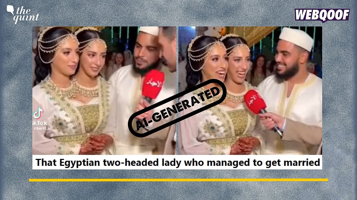 <div class="paragraphs"><p>Fact-Check: This video is created using AI and is not real.</p></div>