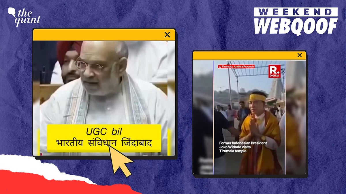 <div class="paragraphs"><p>Here is the recap of our top five fact-checks from this week.</p></div>