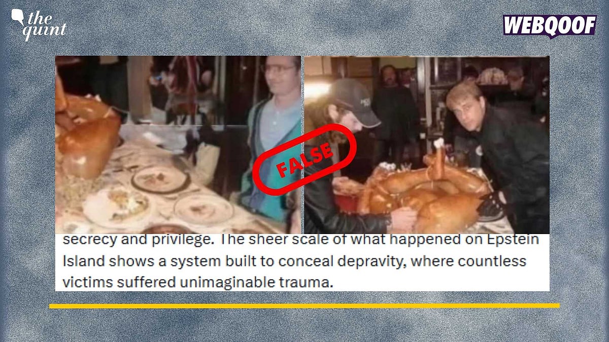 <div class="paragraphs"><p>Fact-Check: These images belong to the film Thanksgiving (2007) by Eli Reed.</p></div>