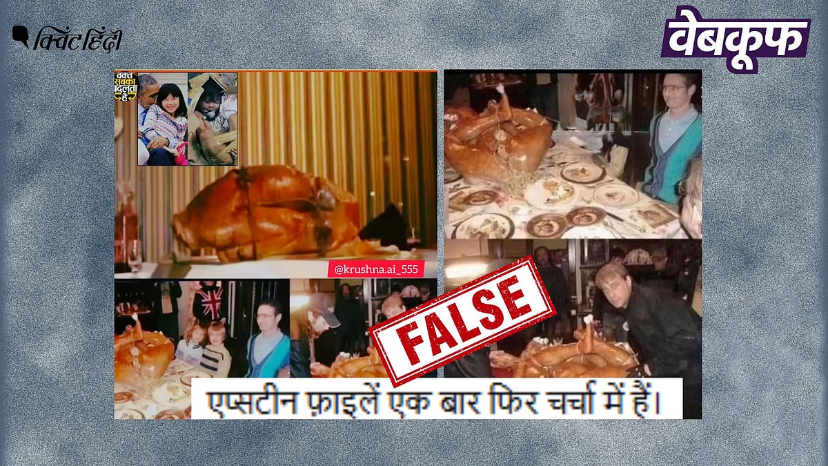 <div class="paragraphs"><p>Epstein Files नहीं थैंक्सगिविंग फिल्म की है यह वायरल तस्वीरें</p></div>