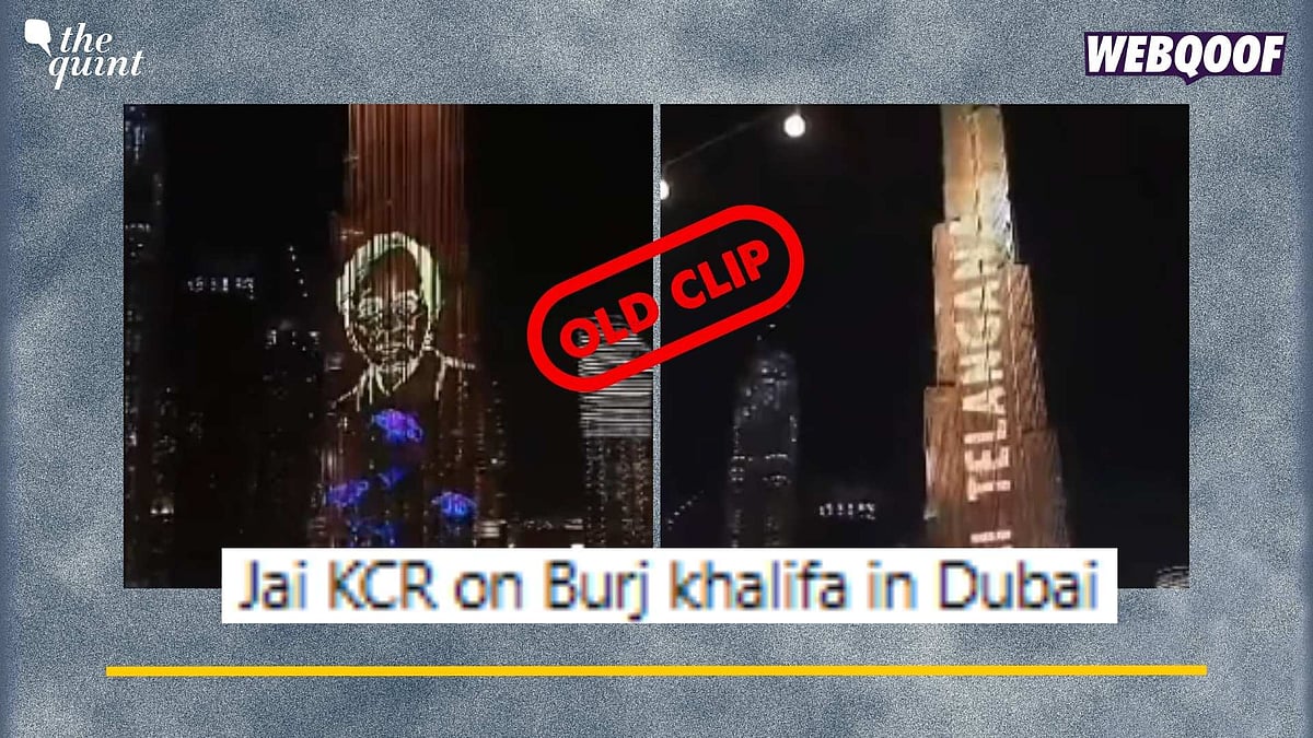 <div class="paragraphs"><p>Fact-Check: This video dates back to 2021 and is not recent as claimed.</p></div>