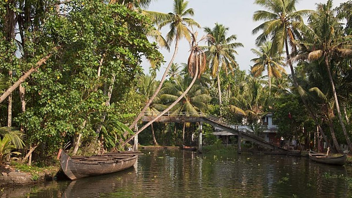 <div class="paragraphs"><p>A representational photo of the Kerala backwaters.</p></div>