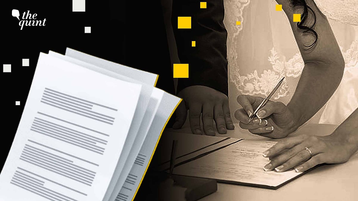 <div class="paragraphs"><p>The State, by making the registration of marriage contingent on the consent of parents, is not only invading their private sphere but also seeks to erase the proof of marriage.</p></div><div class="paragraphs"><p></p></div>