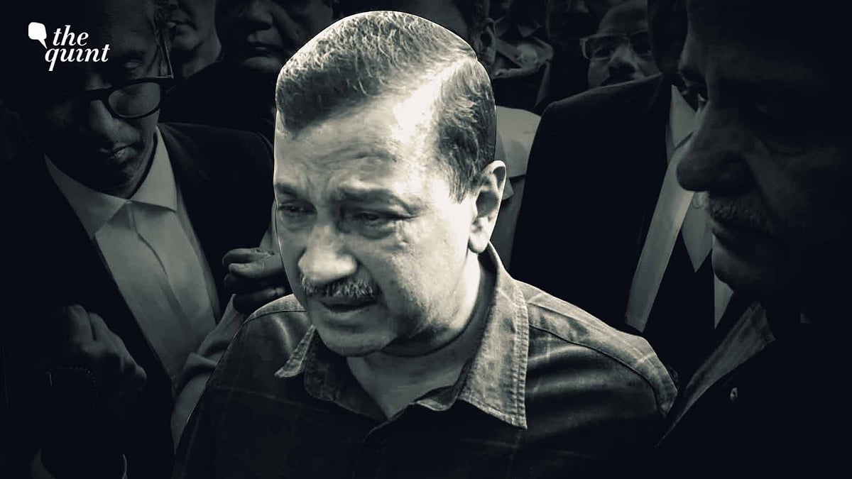 <div class="paragraphs"><p>Politically, the verdict has provided a fresh lease of life to the AAP leadership.</p></div>