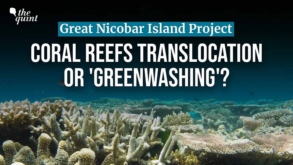 <div class="paragraphs"><p>Clearing the Rs 92,000-crore Great Nicobar project in February 2026, the tribunal upheld the environmental clearance that includes the translocation of 16,150 coral colonies. </p></div>