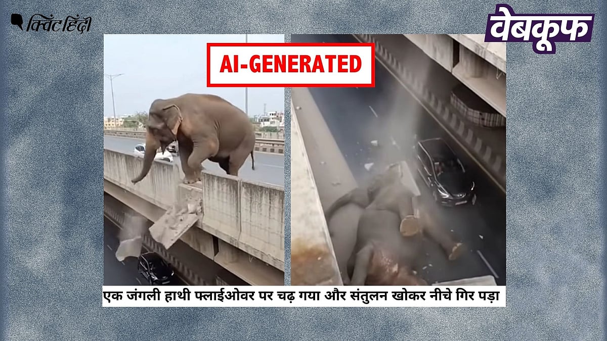 <div class="paragraphs"><p>पुल से नीचे गिरते हाथी का यह वीडियो असली नहीं AI से बना है</p></div>