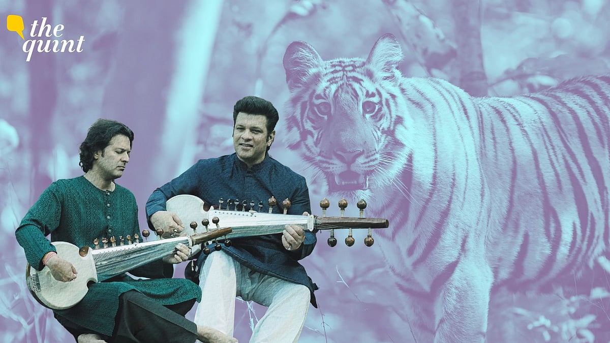 ‘Celebrating Our Tigers’: Can Music Make Us Feel Climate Loss?