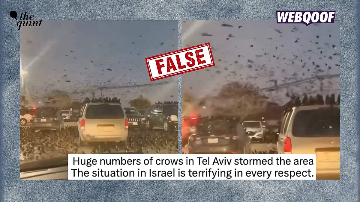 <div class="paragraphs"><p>An old video from Texas has gone viral with the false claim that it shows crows gathering over Tel Aviv, Israel.</p></div>
