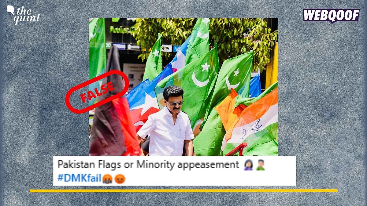 <div class="paragraphs"><p>Fact-Check: This visual shows IUML's flag and not Pakistan's flag.</p></div>
