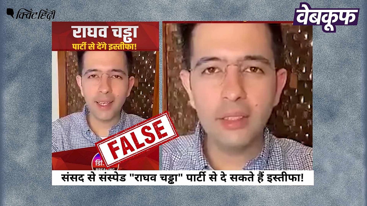 <div class="paragraphs"><p>निलंबन पर बोलते राघव चड्ढा का यह वीडियो हालिया नहीं पुराना है</p></div>