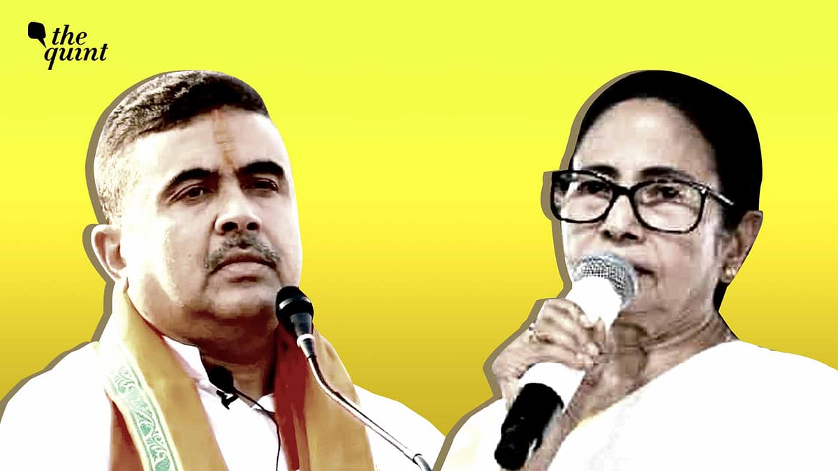 <div class="paragraphs"><p>In Mamata Banerjee's Bhabanipur, '40% of Voters Deleted Are Muslims': Report</p></div>