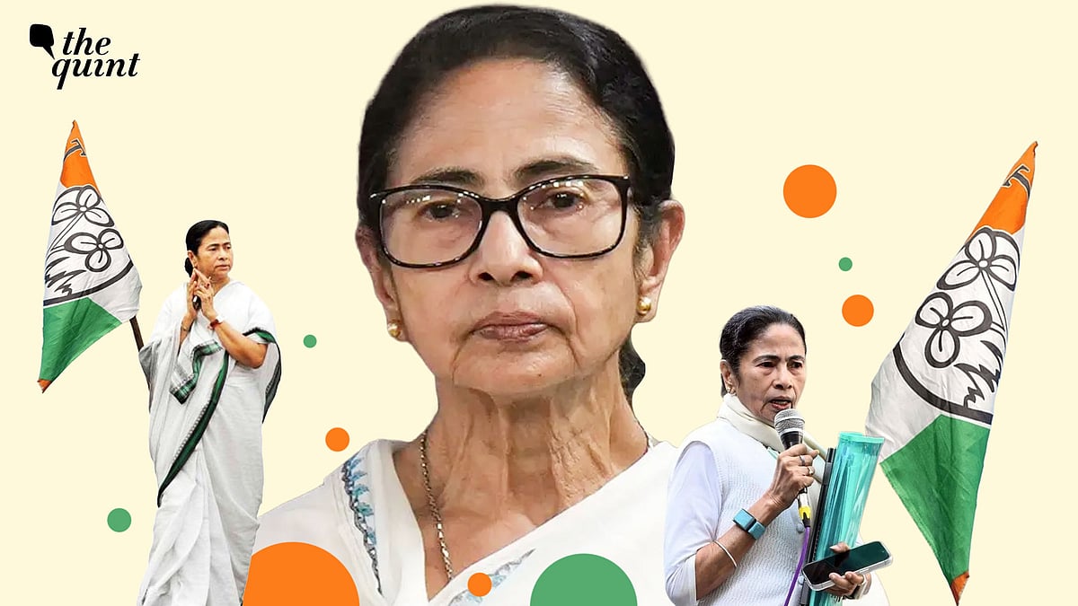 <div class="paragraphs"><p>Former TMC Rajya Sabha MP Jawhar Sircar, in an interview with The Quint, says that although the Bengali culture is&nbsp;under threat, perhaps now more than ever from imminent saffronisation, the voters of West Bengal may prefer to not give their vote to Mamata Banerjee-led TMC.</p></div>