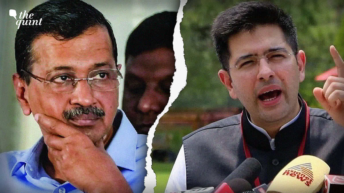<div class="paragraphs"><p>(Raghav Chadha has split AAP in the Rajya Sabha)</p></div>