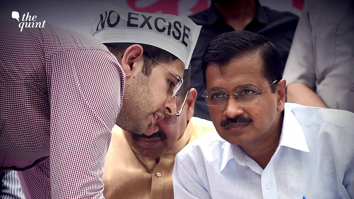 <div class="paragraphs"><p>A file photo of Arvind Kejriwal and Raghav Chadha.</p></div>