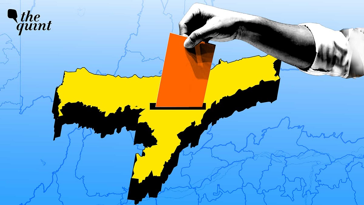 Bigger Victory Margins, Gains in New Seats: Did Delimitation Help NDA Win Assam?