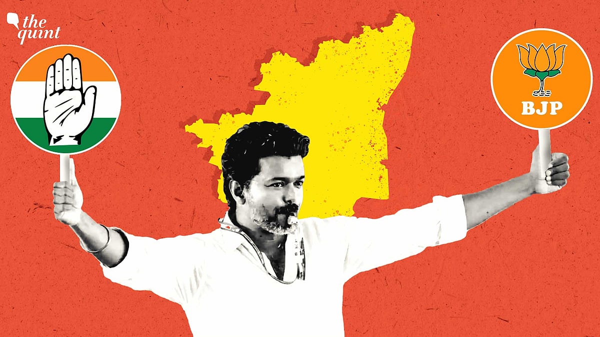 Tamil Nadu Results: Vijay Falls Short of Majority, What Are TVK's Options?